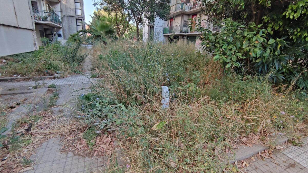 (Foto) Crotone: la selva oscura di Dante riproposta in centro città - 