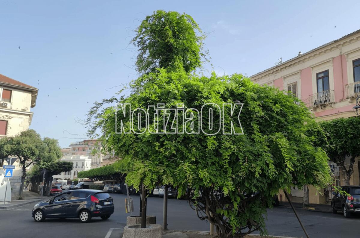 Crotone, telecamere "nascoste" in Piazza Pitagora - 