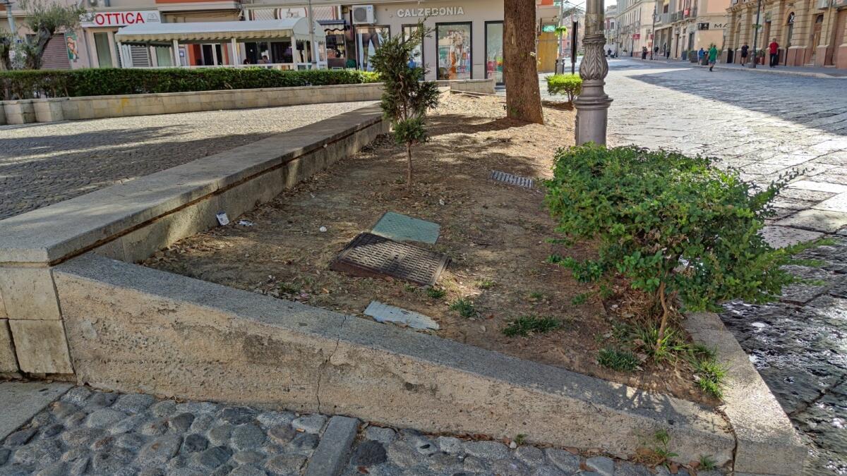 Crotone, in Piazza della Resistenza le siepi "fantasma" - 
