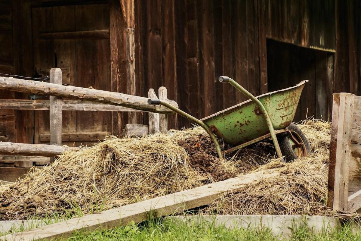 Crotone, istituita in Prefettura la rete del lavoro agricolo di qualità - 