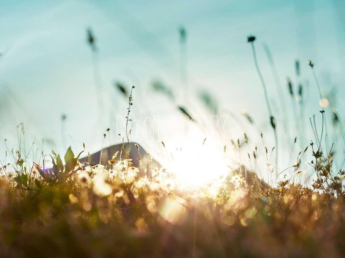 Meteo - 33 gradi nella giornata di domani a Crotone: ancora afa -