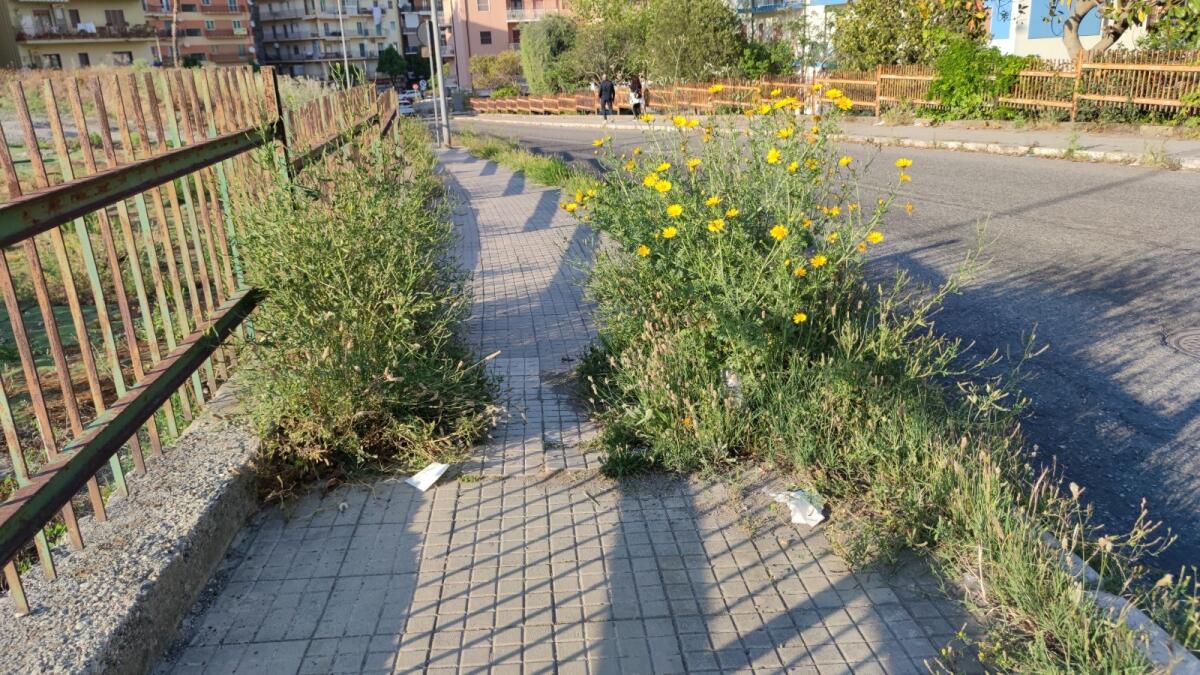 Crotone, Verde Pubblico: verso l'impiego dei percettori di Rdc - 