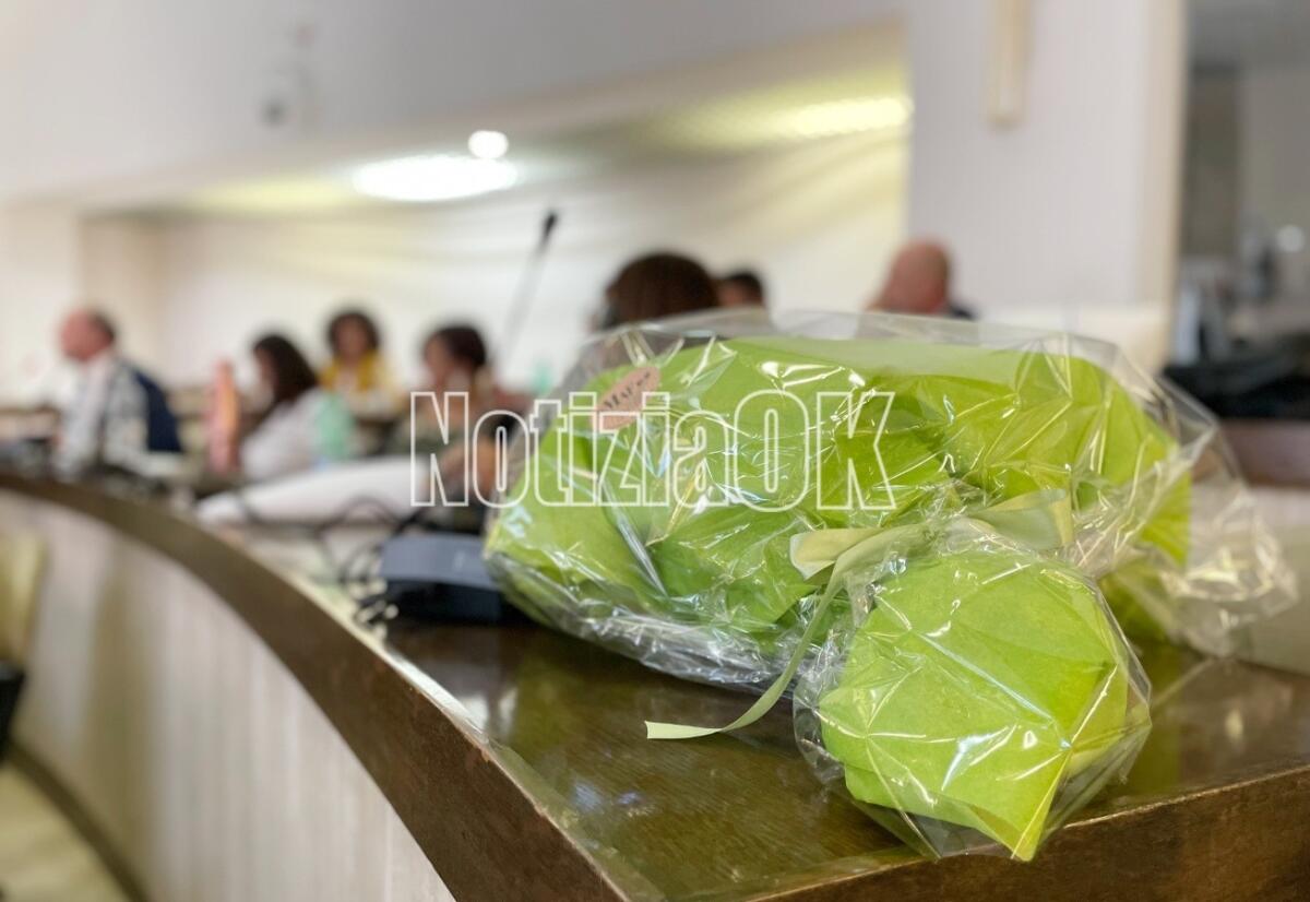 Crotone, un fascio di fiori sul banco di Santo Facino nel Consiglio Comunale - 