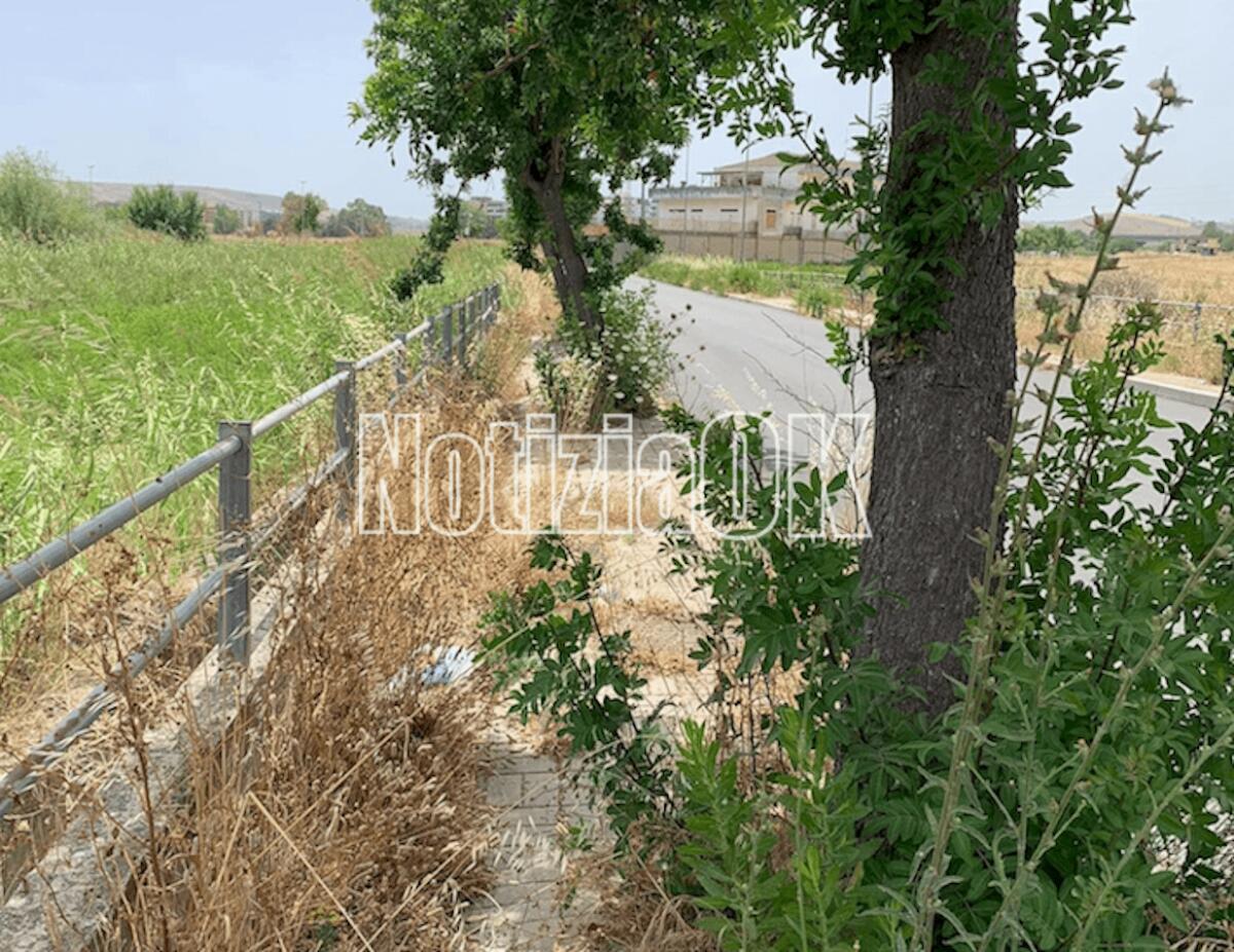 (Foto) Crotone, In centro e in periferia: il degrado abbonda - 