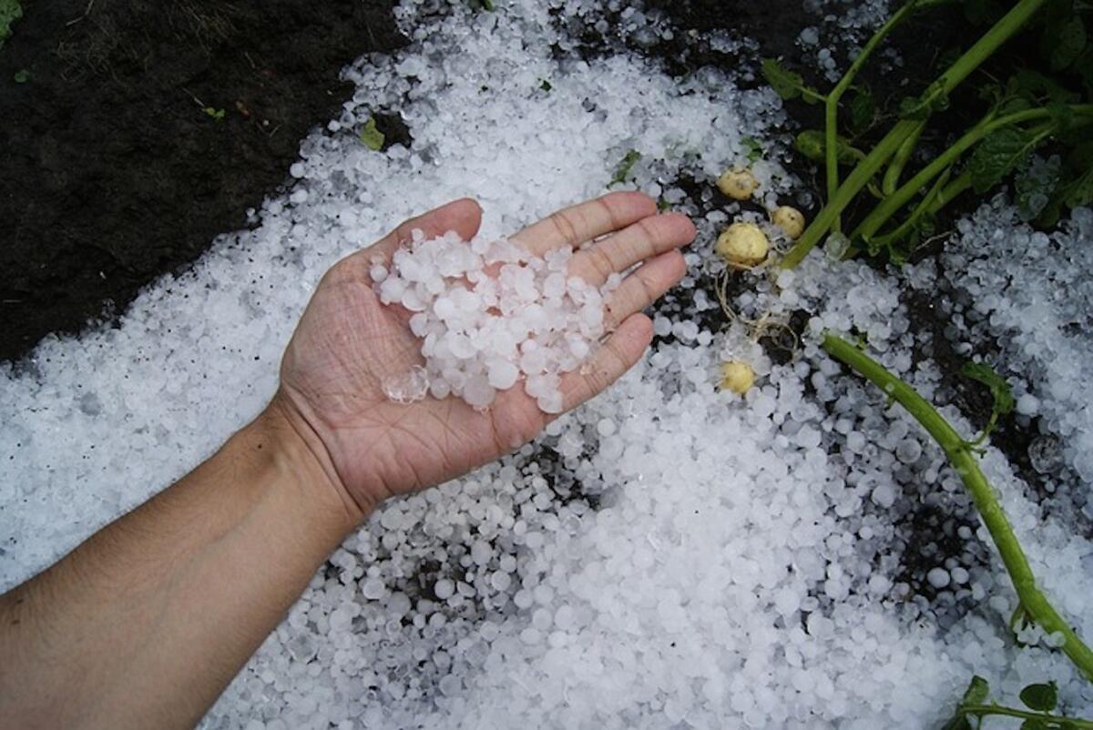 Maltempo: grandine sulla siccità, danni per milioni - 