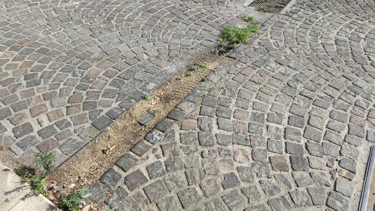 Crotone, una città con grate "fantasma" - 