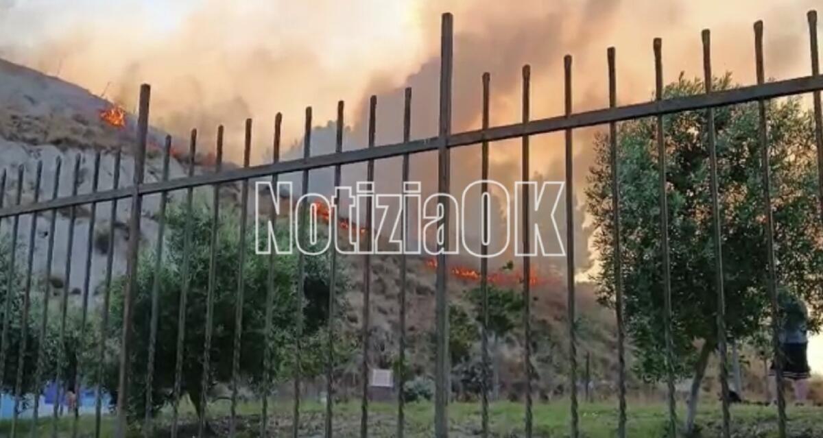 Flora  Sculco: "Incendio a Parco Pignera, vile attacco ad un faro di cultura" - 