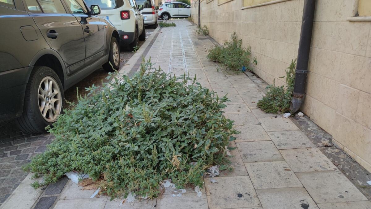 Crotone, passaggio ostruito: una città sempre verde - 