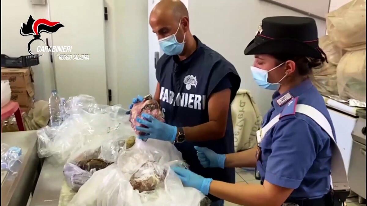 Sequestrate 1,3 tonnellate di alimenti in cattivo stato di conservazione a Scilla (RC) - 