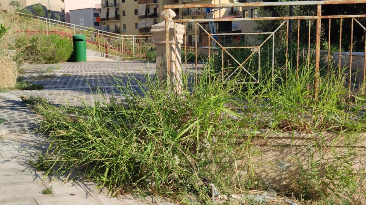 Crotone, una città ormai al "verde" - 