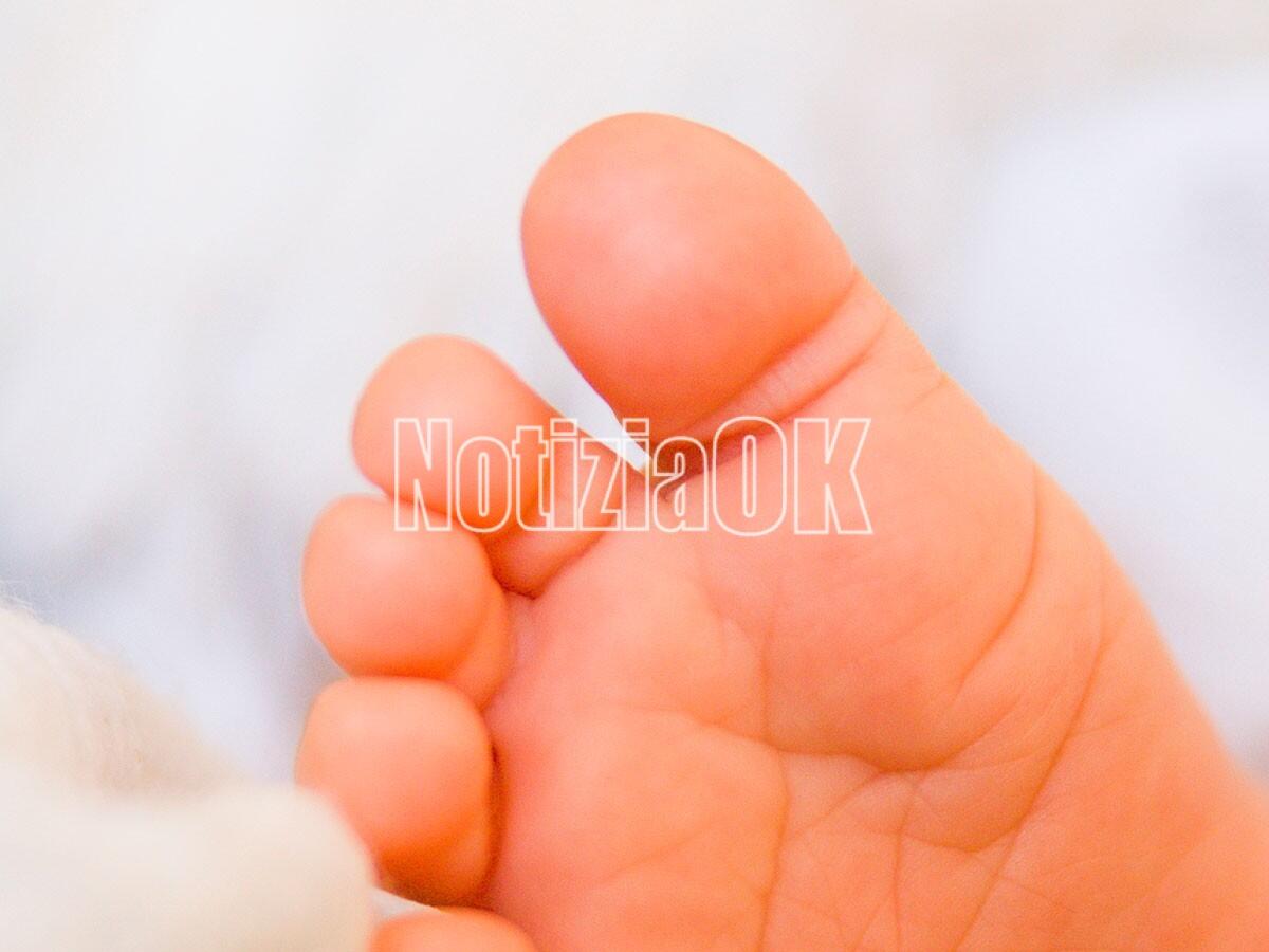 Sigo: «La riduzione delle nascite è un gravissimo problema» - 