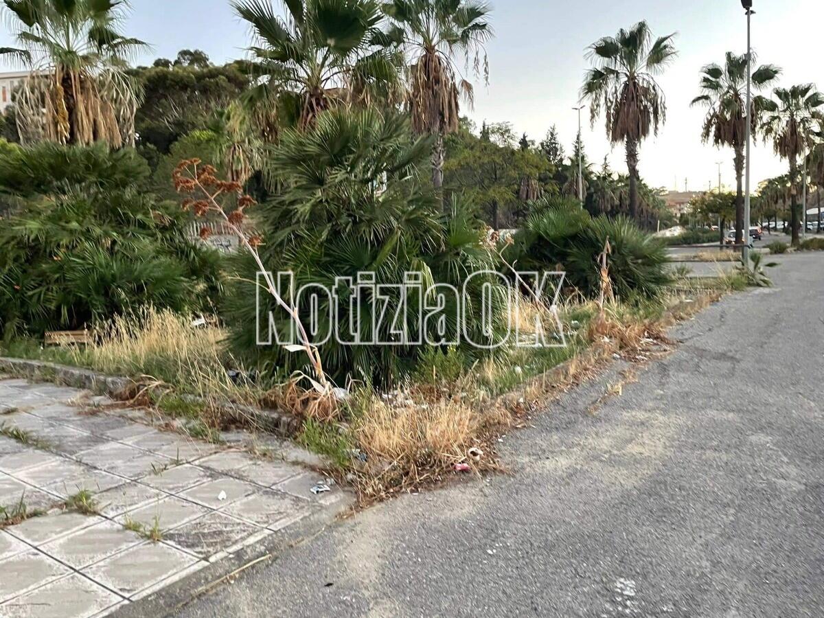 (Foto) Crotone, c'è bisogno di cura e decoro in una città che non brilla -
