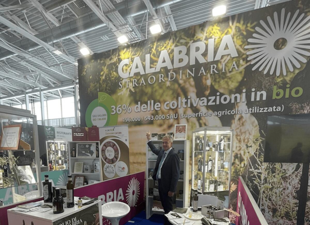 Il Consorzio Olio di Calabria IGP varca i confini regionali - 