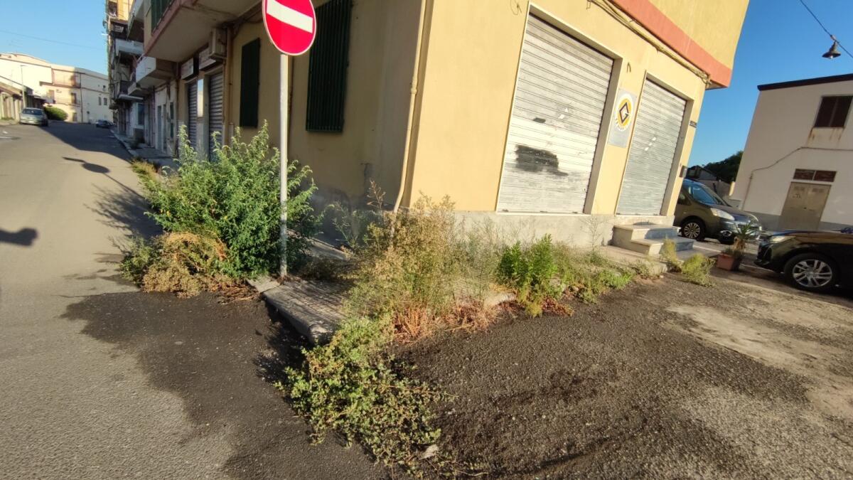 Crotone, marciapiedi proibiti con verde fuori luogo -