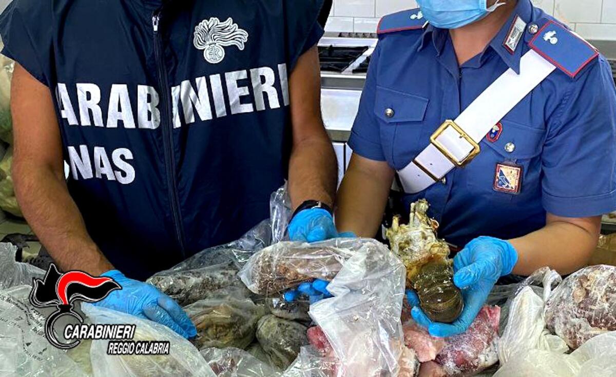 Calabria - Sequestrate due tonnellate di alimenti, chiuse dieci imprese - 