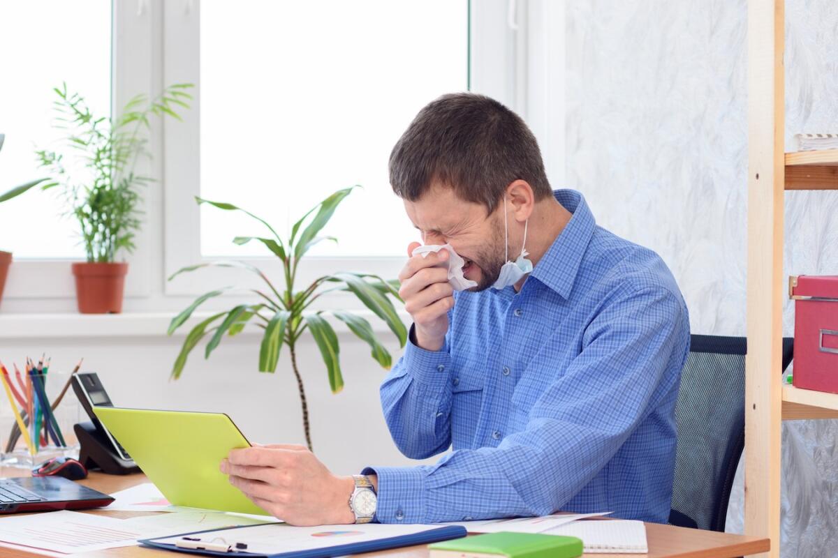 Influenza stagionale, in Italia vaccini da metà ottobre - Ill office worker sneezes at work place