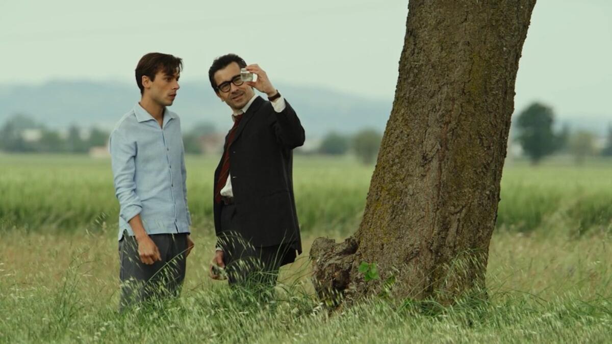 Crotone, Il signore delle formiche arriva al Cinema Teatro Apollo - 