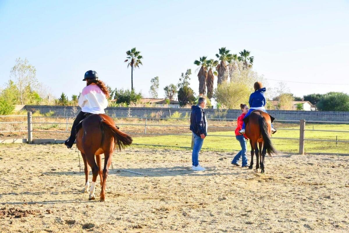 Crotone - Ippoterapia, il cavallo per il benessere fisico e psicologico - 