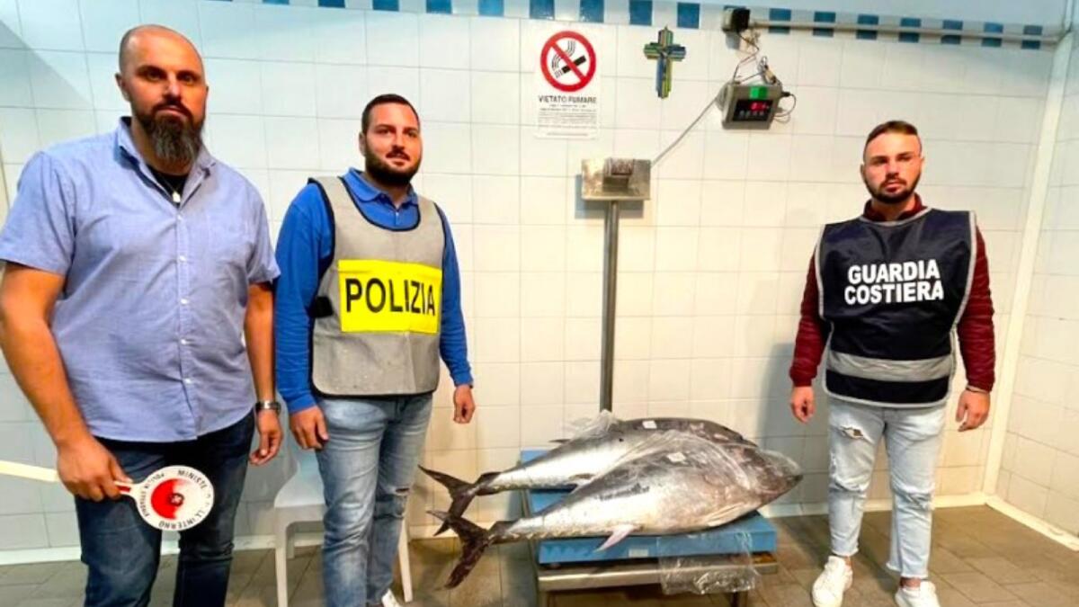 Sequestrati altri 190 KG di prodotti ittici: sanzione di 1.500 euro - 