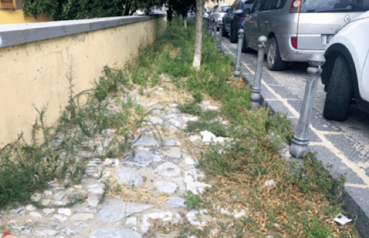 Crotone, Piazza Castello: tanto verde fuori luogo - 