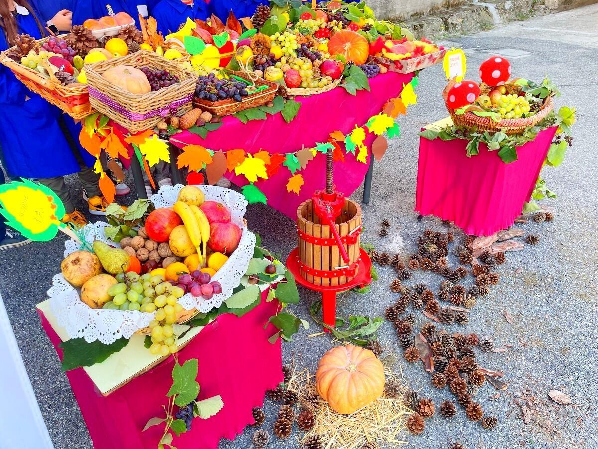 Crotone, i bambini del Codignola scoprono l'autunno - 