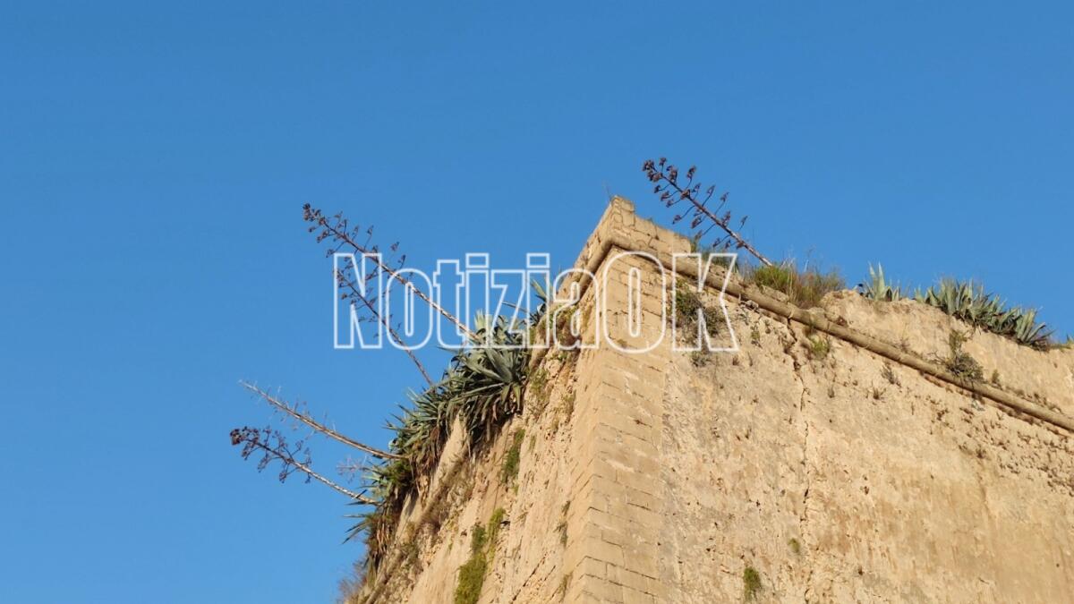 Crotone, Castello Carlo V: mostra "selvatica" dalle mura - 