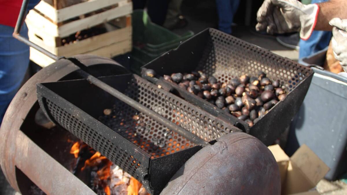 Crotone - Al Farmer's Market si festeggiano i sapori d'autunno - 