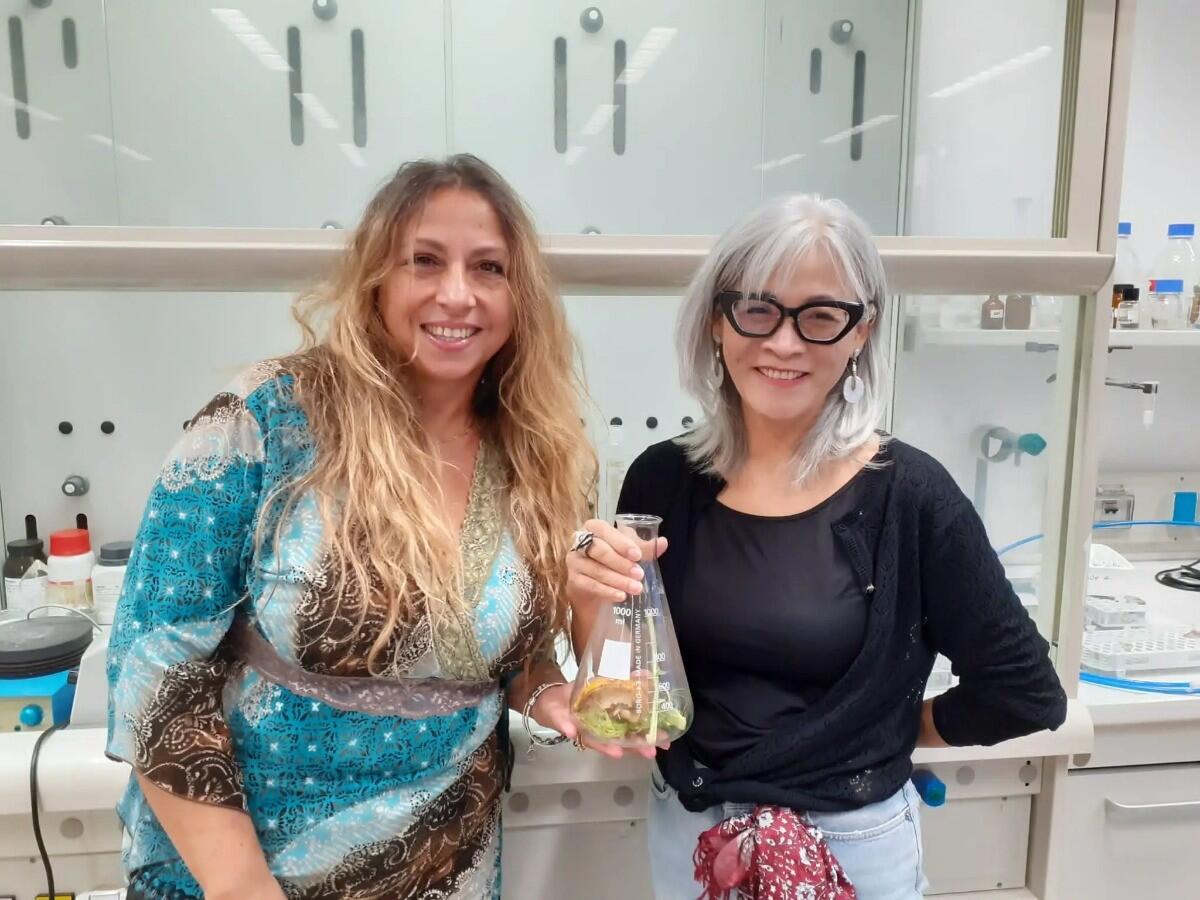 Materiali didattici sul compost: anche l'Unical tra i finalisti dell’Award britannico - 