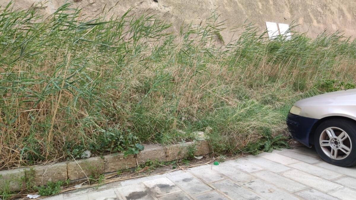 Crotone, l'erba del vicino... è sempre più verde! - 