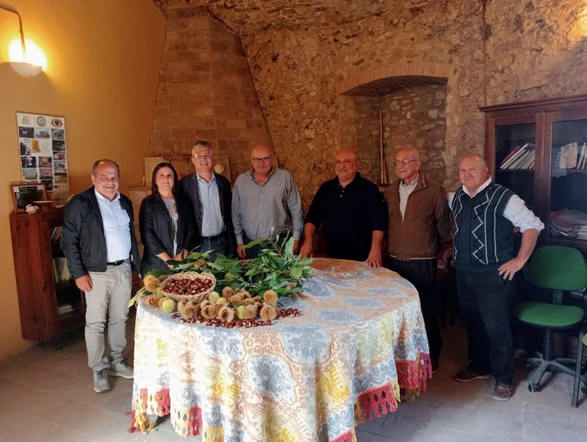 Una filiera castanicola per valorizzare la castagna crotonese - 