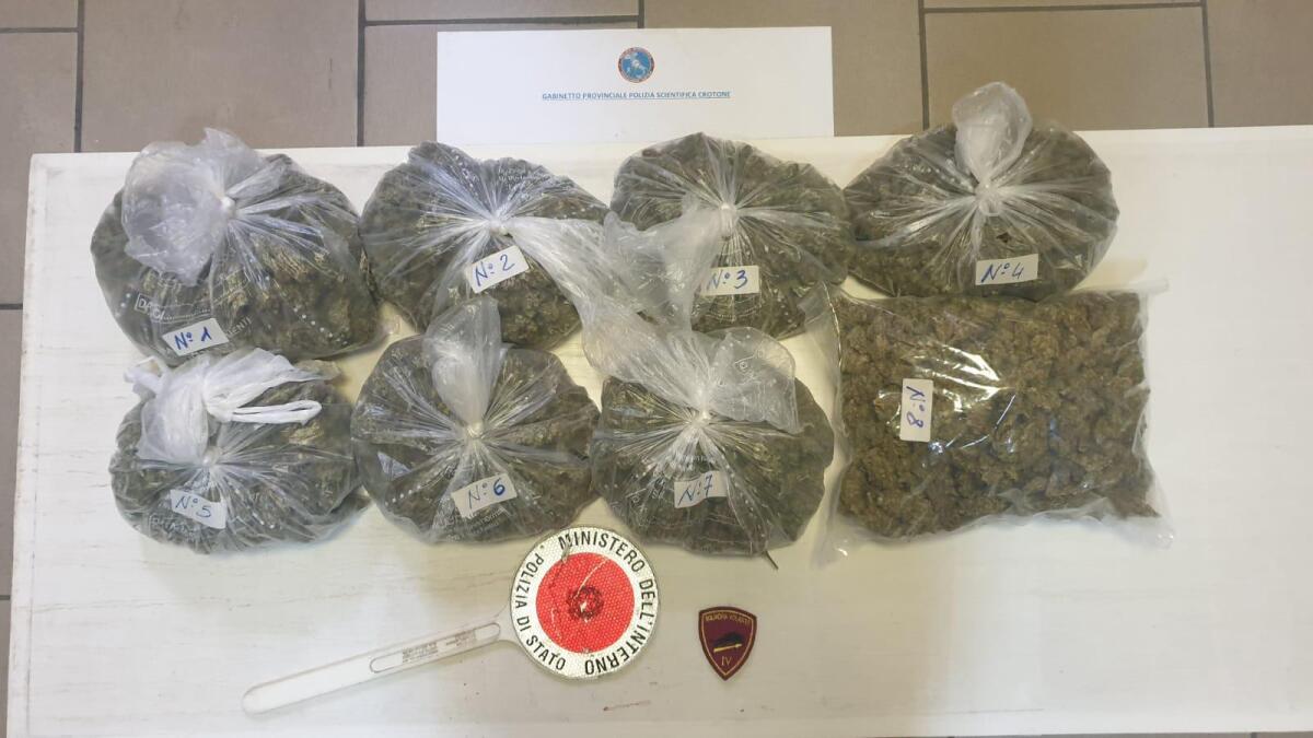 Crotone, perquisizioni nel centro storico: sequestro di oltre 2 kg di marjuana - 