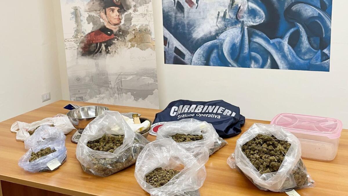 Trovati con più di 1,500 kg di marijuana, due arresti nel crotonese - 