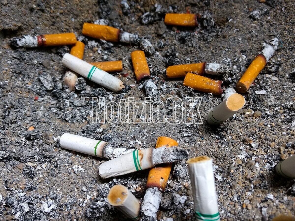 Ambiente - Raccolte 22  kg di cicche di sigarette perchè "Non esiste un pianeta B" - 
