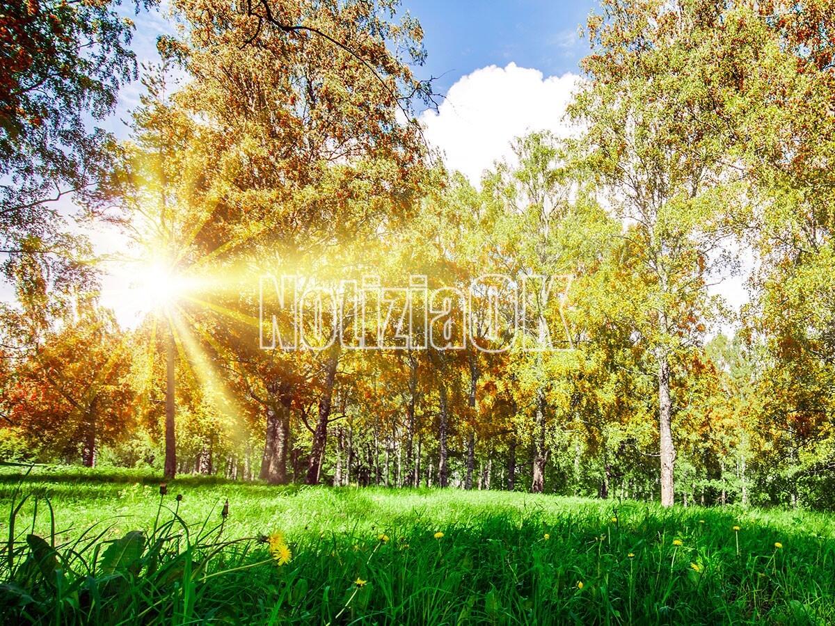 Ancora caldo fuori stagione, arriva la "novembrata" - 