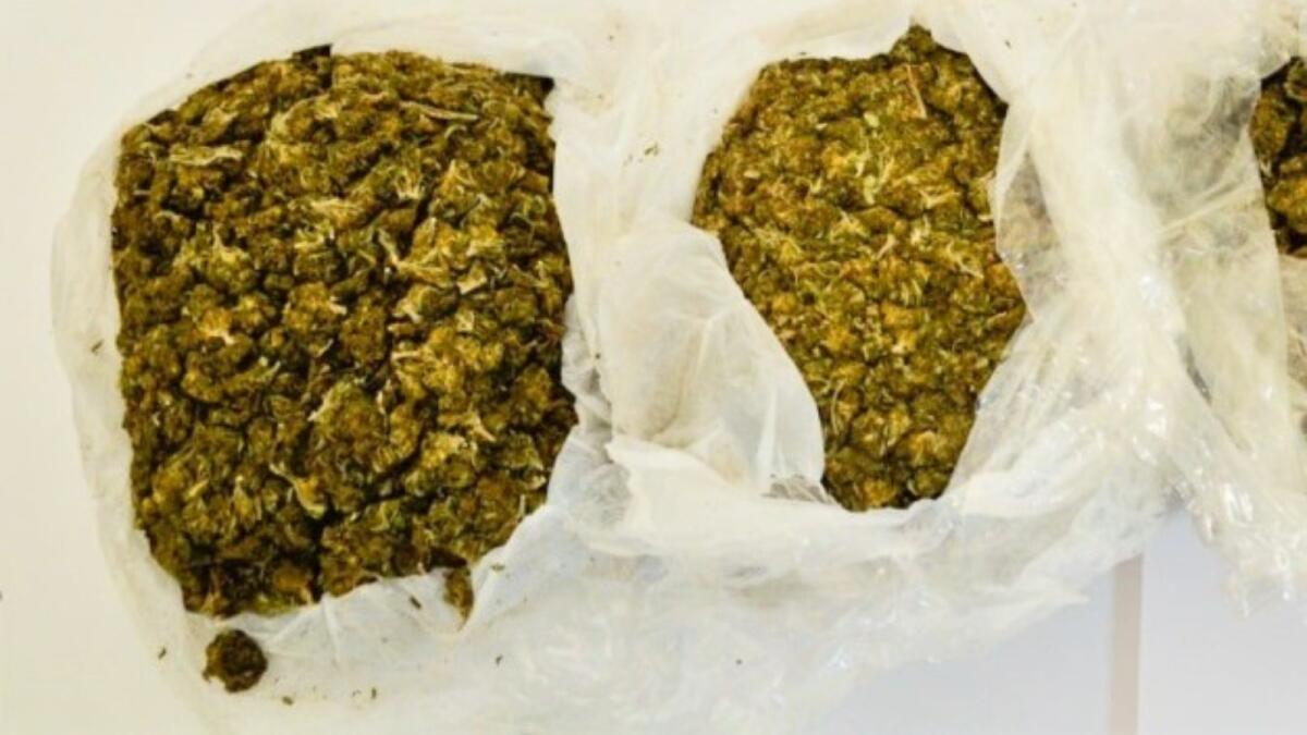 Crotone, un arresto per possesso di marjuana - 