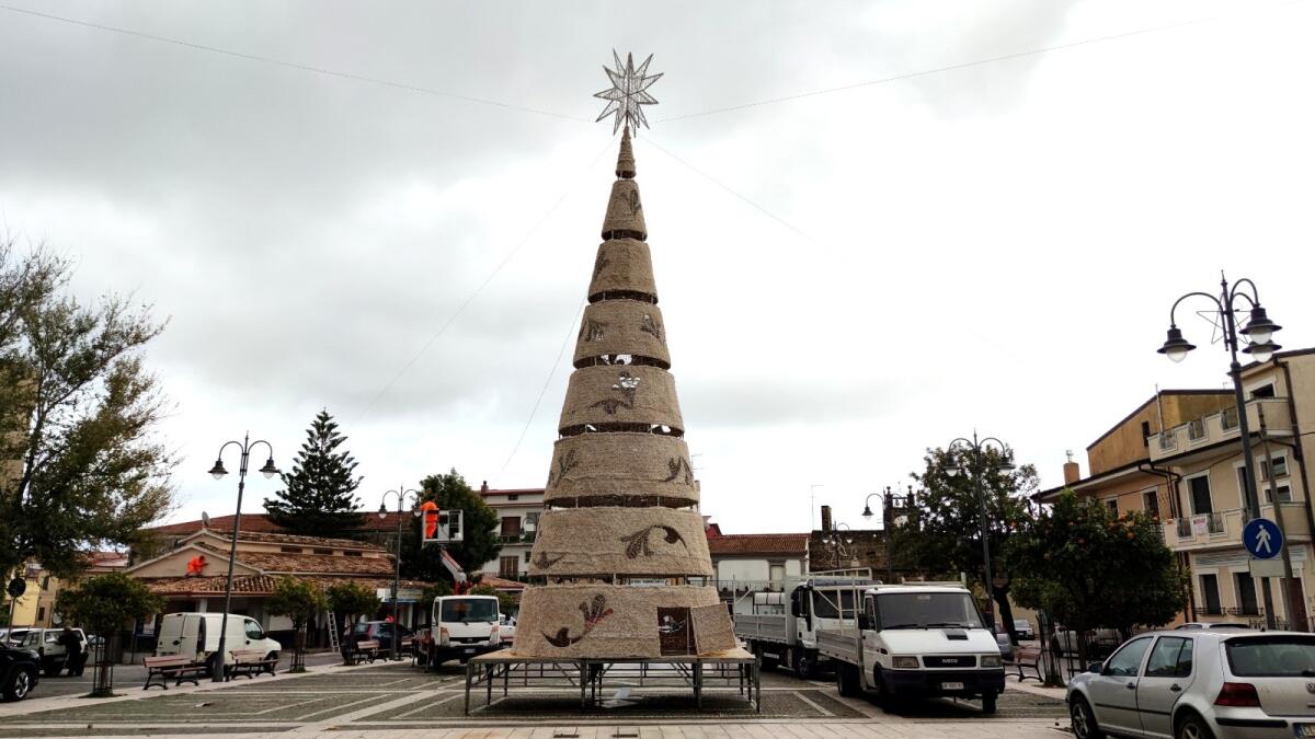 Isola di Capo Rizzuto, allestito in Piazza del Popolo un maestoso albero di Natale - 