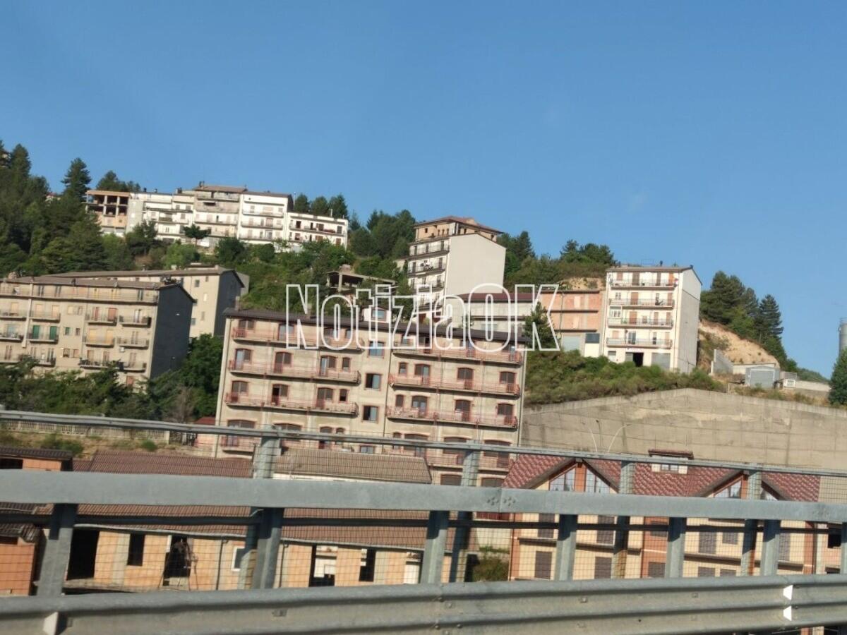 San Giovanni in Fiore (CS) - Gara per il taglio dei boschi, il Tar dà ragione al Comune - 