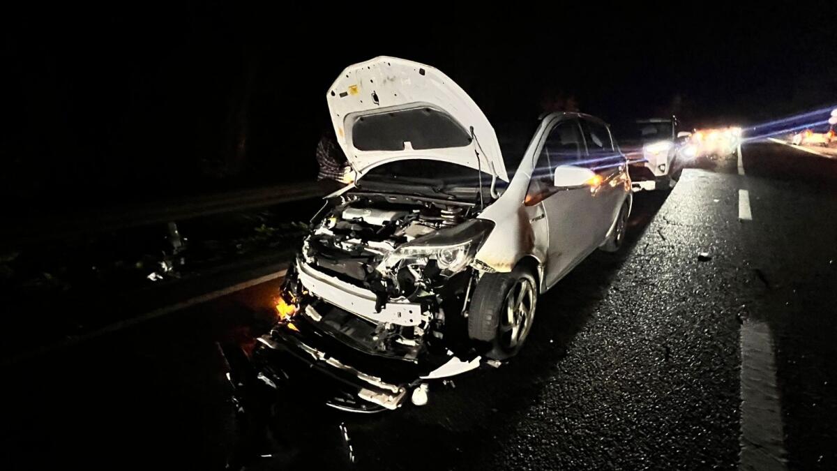 Crotone, animale selvatico provoca incidente sulla SS 107: un ferito - 
