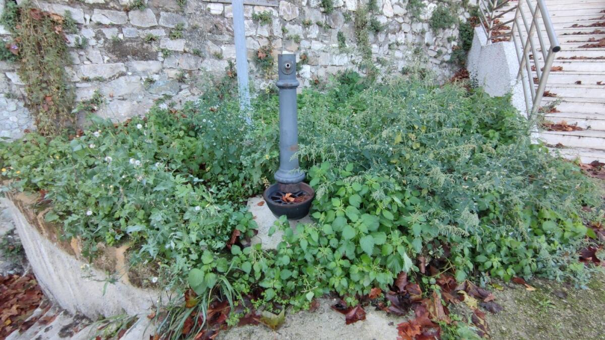 Crotone, fontane al "verde" e immerse nel verde... - 