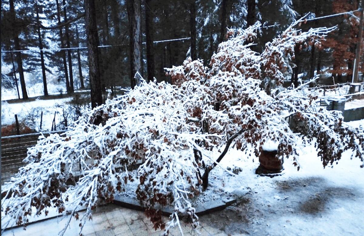 Cotronei, fiocchi di neve anche nella frazione di Trepidò - 