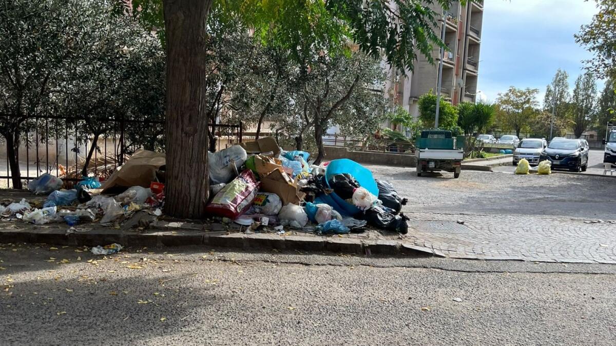 Forza Italia e Siamo Futuro: "Il degrado regna a Isola di Capo Rizzuto nonostante il conto salato pagato dai cittadini" - 