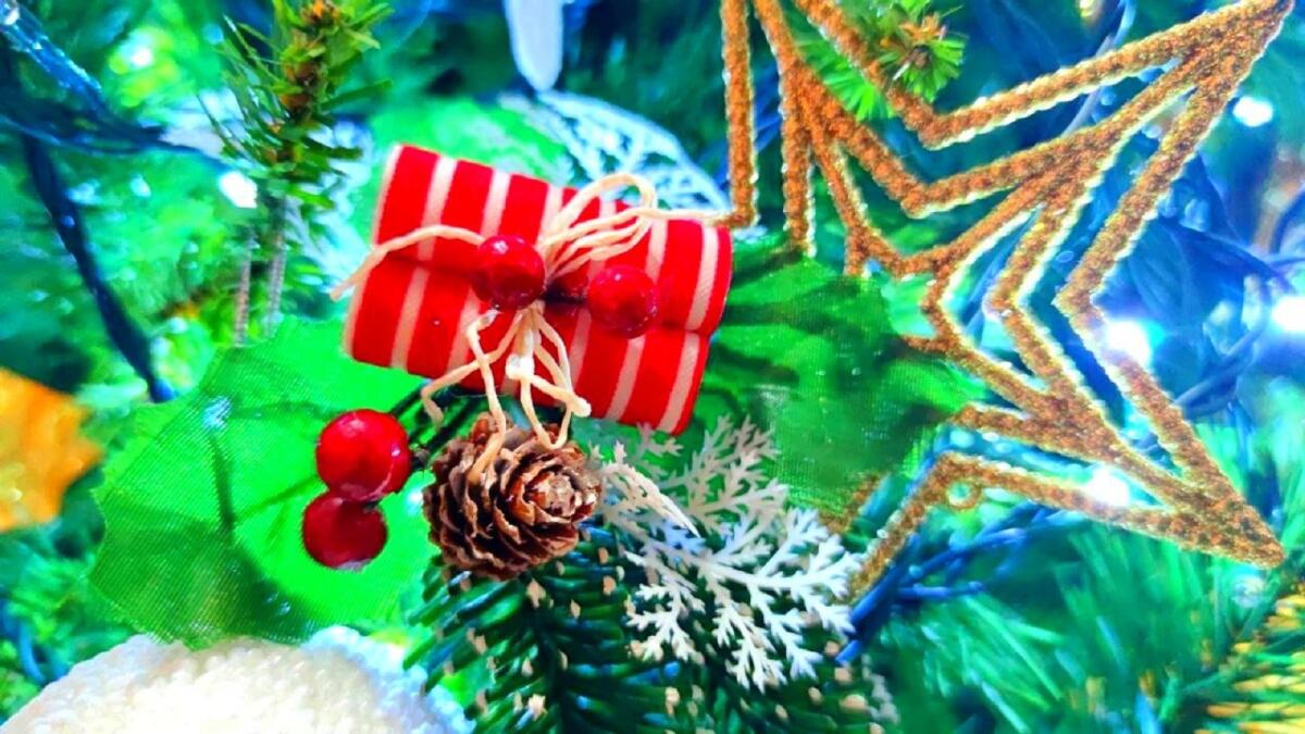 Crotone, oggi la grande festa di Natale a Fondo Gesù - 