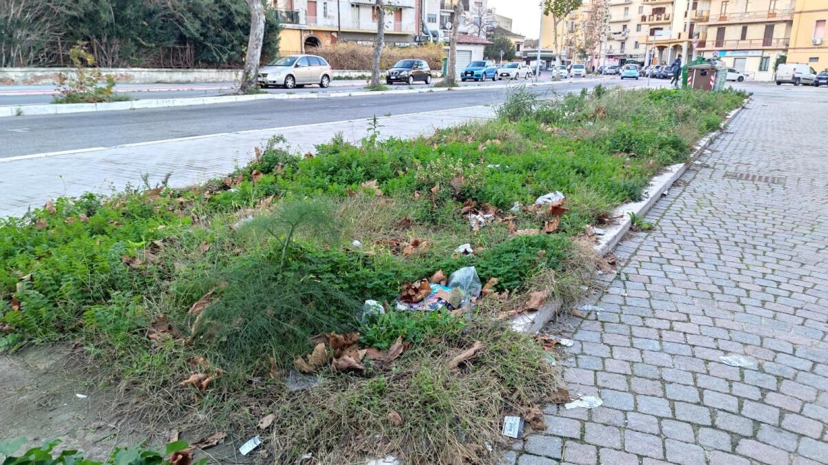 Crotone, un verde fuori luogo e senza utilità - 