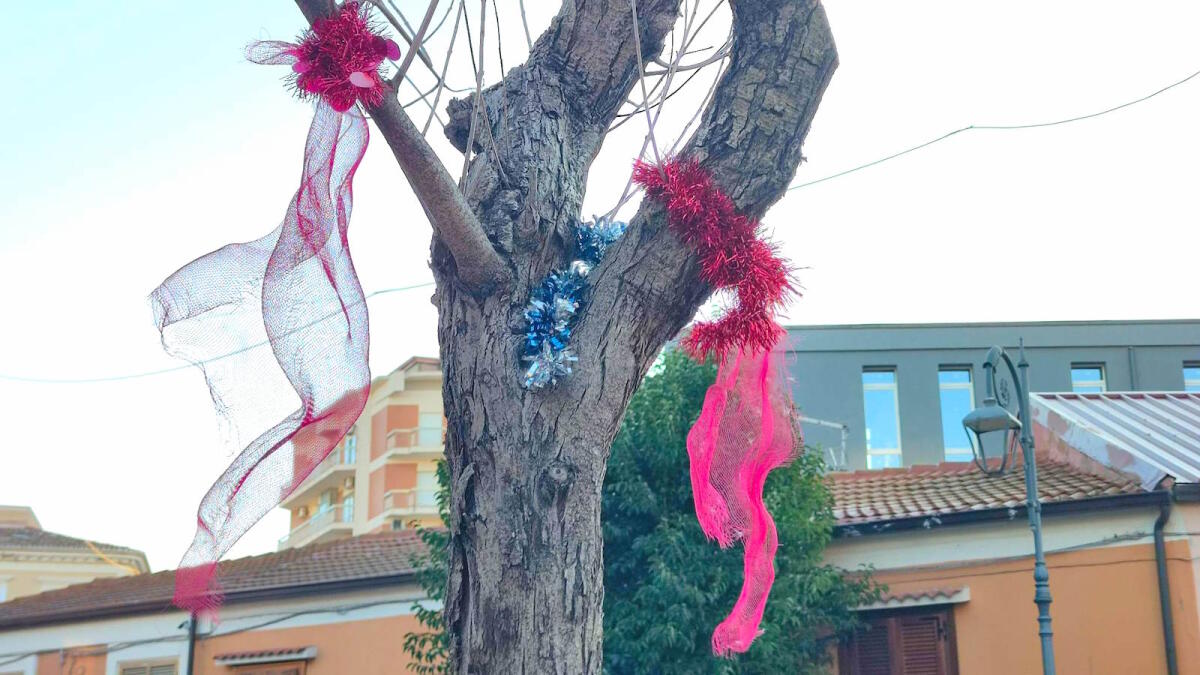 Crotone, addobbi natalizi posti sugli alberi di viale Regina Margherita - 