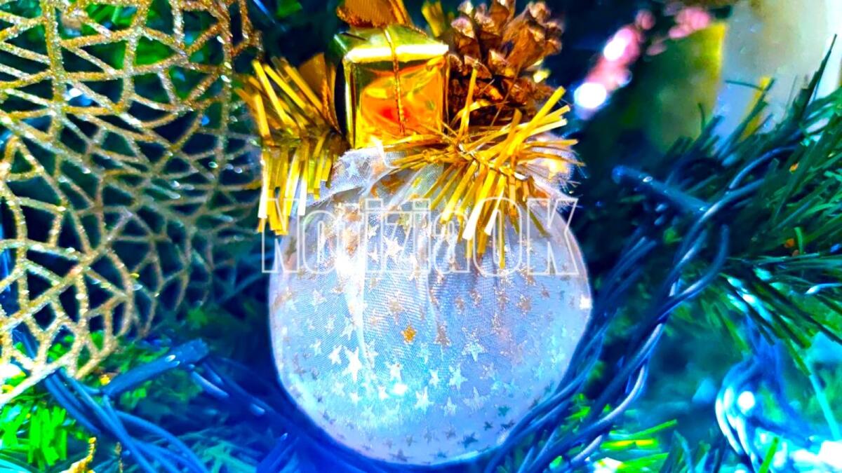 Aria di festa per strade e nelle case, ecco qualche consiglio per l'albero di Natale - 