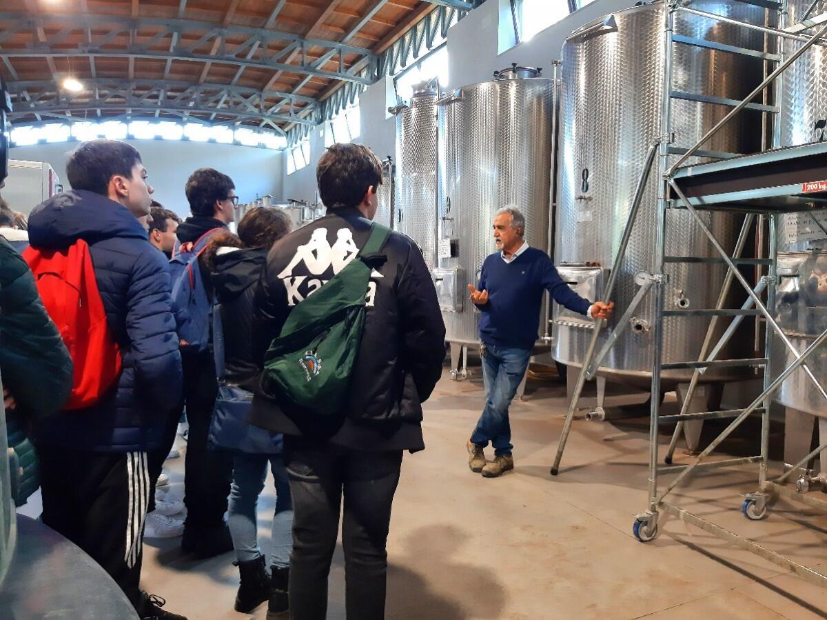 PMI DAY 2022, studenti in visita all'azienda agricola Ceraudo di Strongoli - 