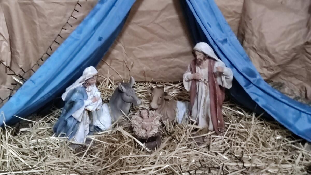 Isola di Capo Rizzuto, il Presepe allestito all'interno del Duomo - 