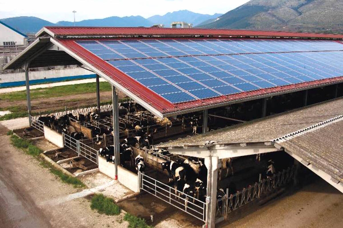 Pnrr: raddoppiare a 10 mld le risorse per l’agroalimentare - 