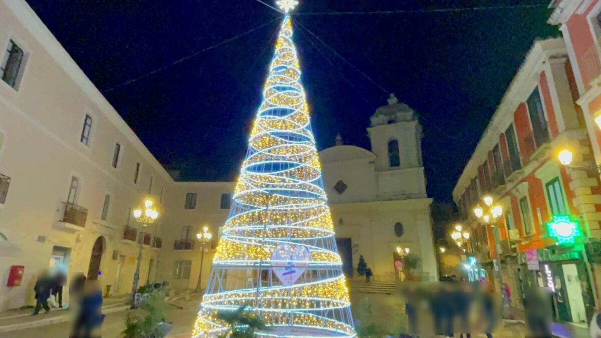Crotone, splende l’albero di Natale in piazza Duomo - 