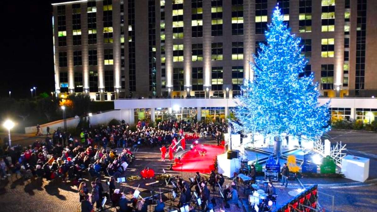 Regione, la cittadella si illumina con l'Albero di Natale dei calabresi - 